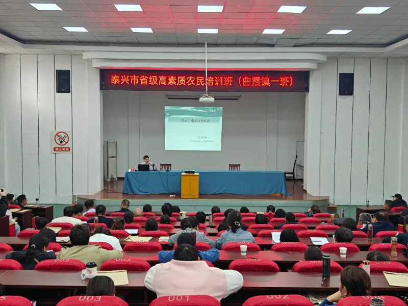 20250427150443YND06RYX.jpg 2.webp.jpg