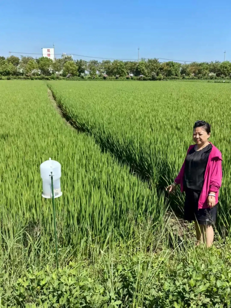 【致敬，乡间巾帼主理人】朱琳：田埂上的“她”力量