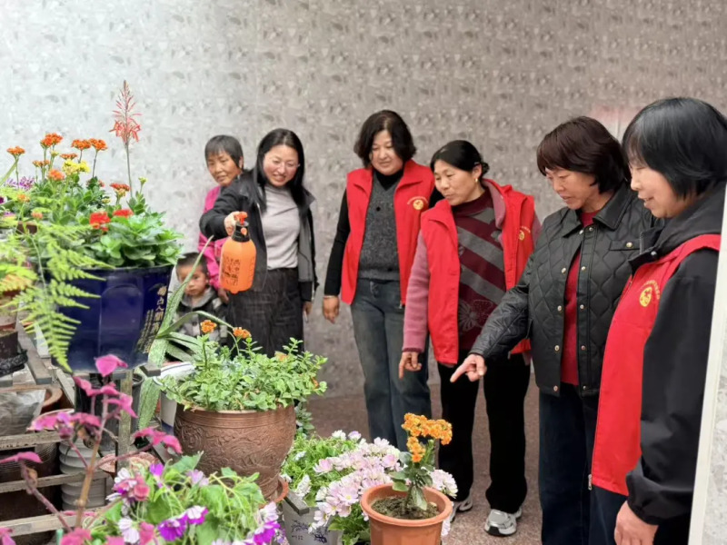 泰兴市姚王街道王庄村：妇联焕新谱华章，巾帼扮靓美家园